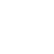 Frame 1321316680 (1) A white circle with green background