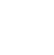 Frame 1321316680 (2) A white circle with green background
