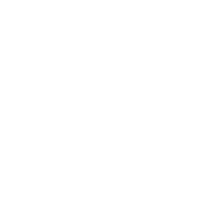 Frame 1321316680 (3) A white circle with green background