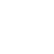 Frame 1321316680 (4) A white circle with green background