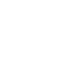 Frame 1321316680 A white circle with green background